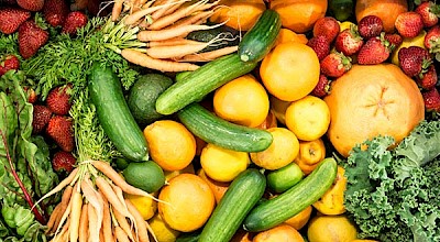 Ernährung bei Krebs