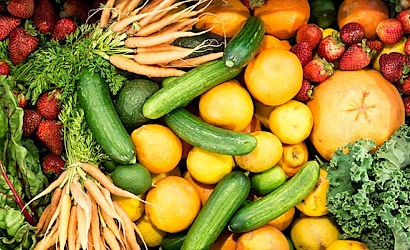 Ernährung bei Krebs