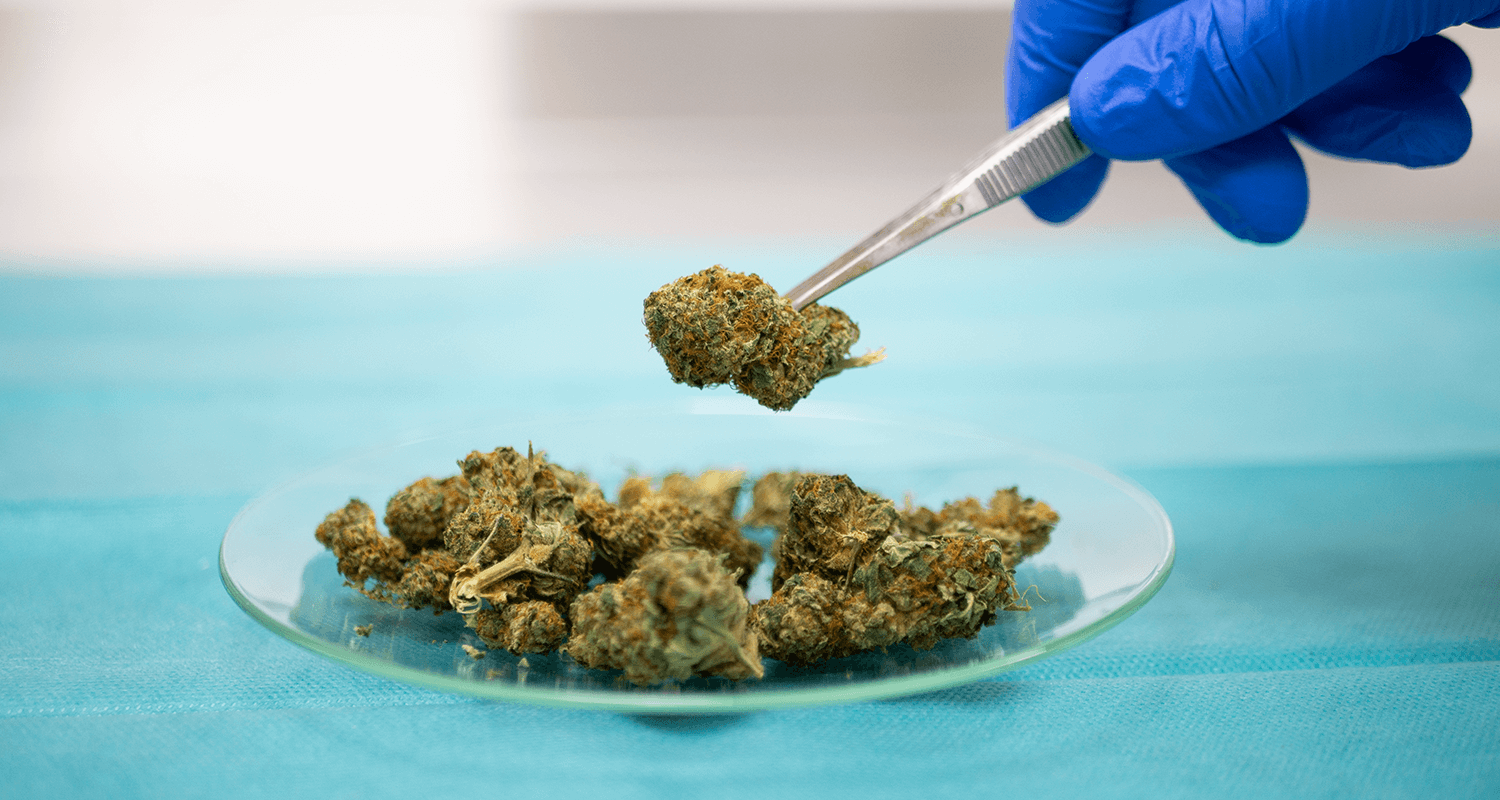 Medizinisches Cannabis in der Hohenzollern Apotheke in Münster
