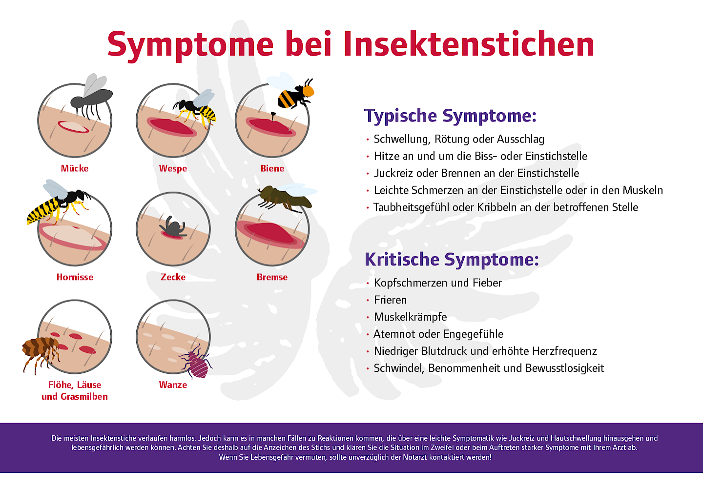 Infografik zu Symptomen von Insektenstichen